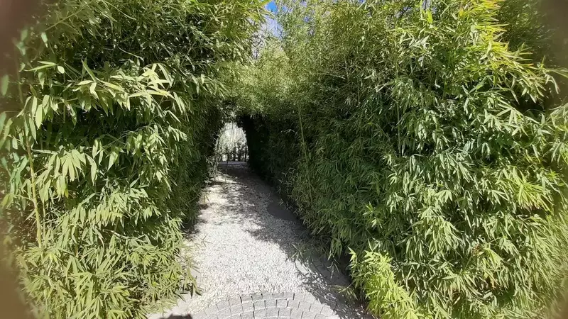 عکاسی مناظر از محسن  اسدالهی