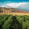 نمونه کار عکاسی مناظر توسط مولاپناه، ثبت شده در 2026-05-10