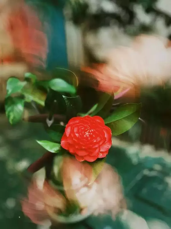 روتوش عکس از پرهام پورمهر