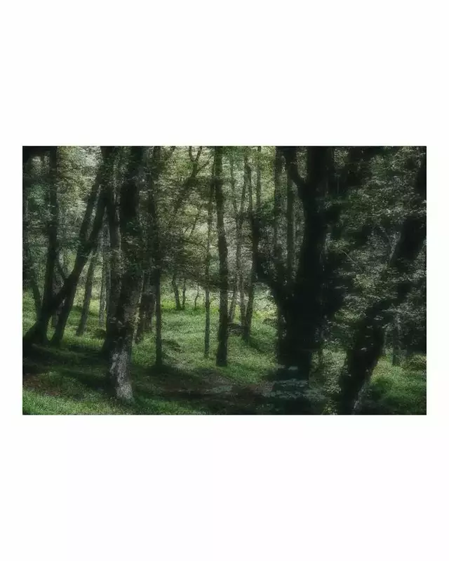 روتوش عکس از پرهام پورمهر