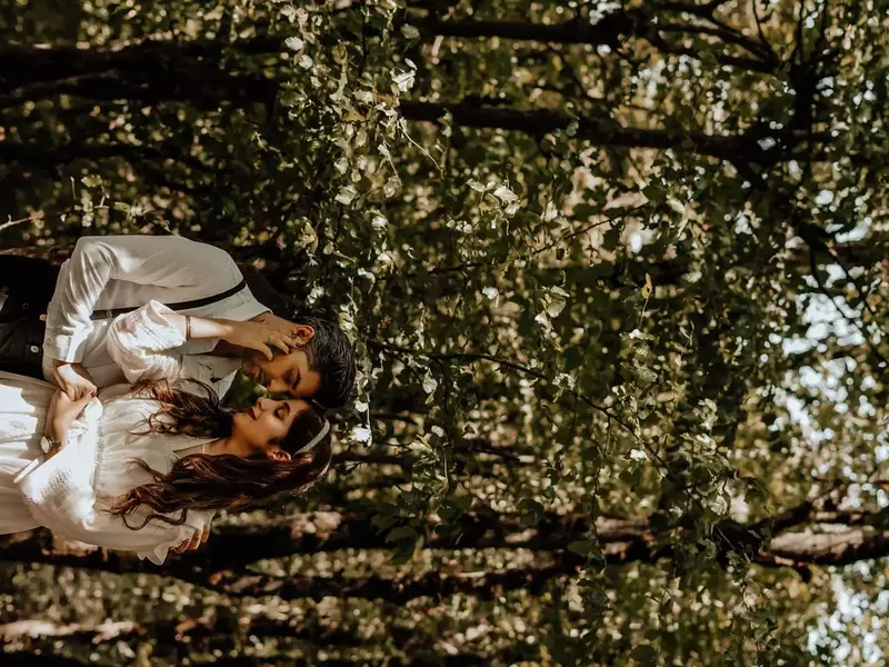 نمونه کار از نرگس سمیعی