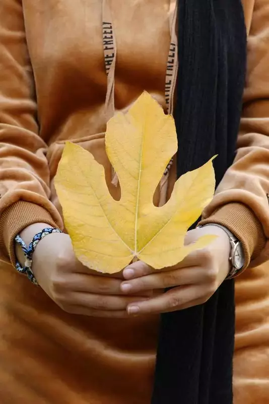 عکاسی چهره - پروفایل از ریحانه فخاریان