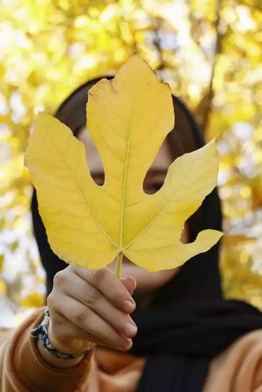 عکاسی چهره - پروفایل از ریحانه فخاریان