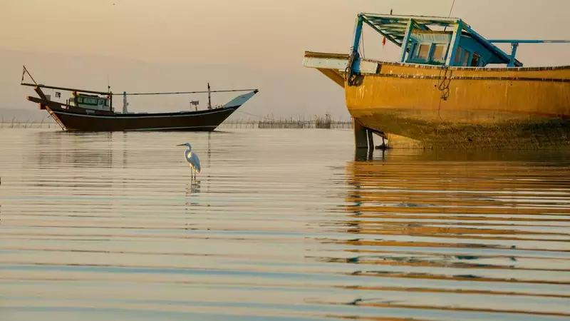 عکاسی مناظر از يحيي بهمئي