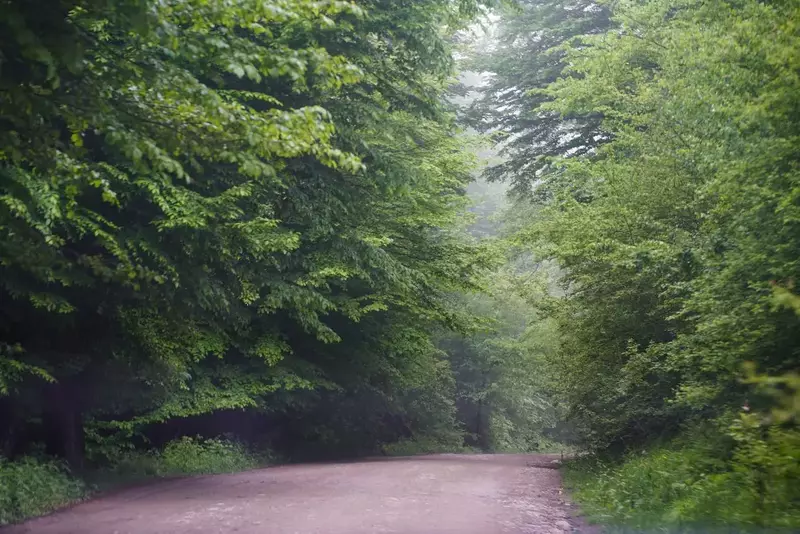 عکاسی مناظر از مژگان اکبری
