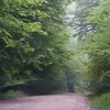 نمونه کار عکاسی مناظر توسط اکبری، ثبت شده در 2026-05-30