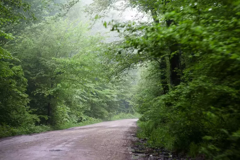 عکاسی مناظر از مژگان اکبری