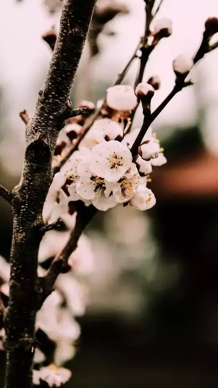 عکاسی مناظر از پرهام پورمهر