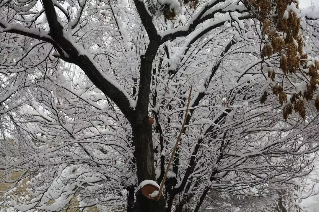 نمونه کار عکاسی غیره توسط طباطبایی که در تاریخ 1398-04-02 ** یک‌شنبه  **  ساعت 09:52PM بارگذاری شده است.