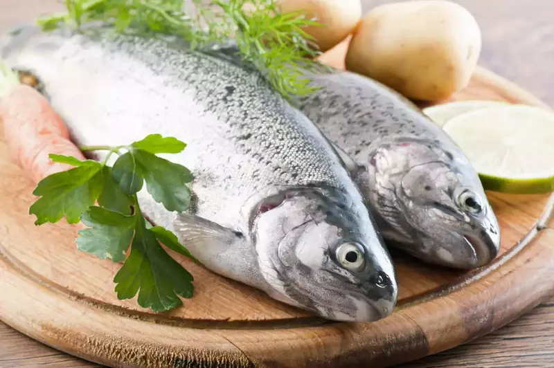 عکاسی تبلیغاتی غذا از ریحانه فخاریان