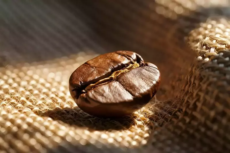 عکاسی تبلیغاتی غذا از ریحانه فخاریان