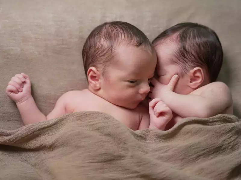 روتوش عکس از ملیحه محمدی