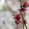 نمونه کار عکاسی مناظر توسط کاظمی ، ثبت شده در 2026-06-07