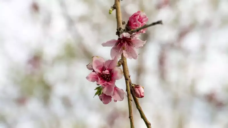 عکاسی مناظر از پیمان  کاظمی 