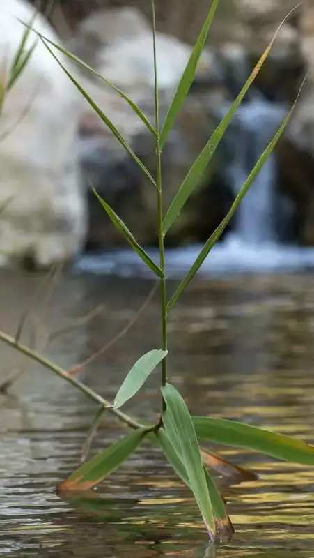 عکاسی مناظر از پیمان  کاظمی 