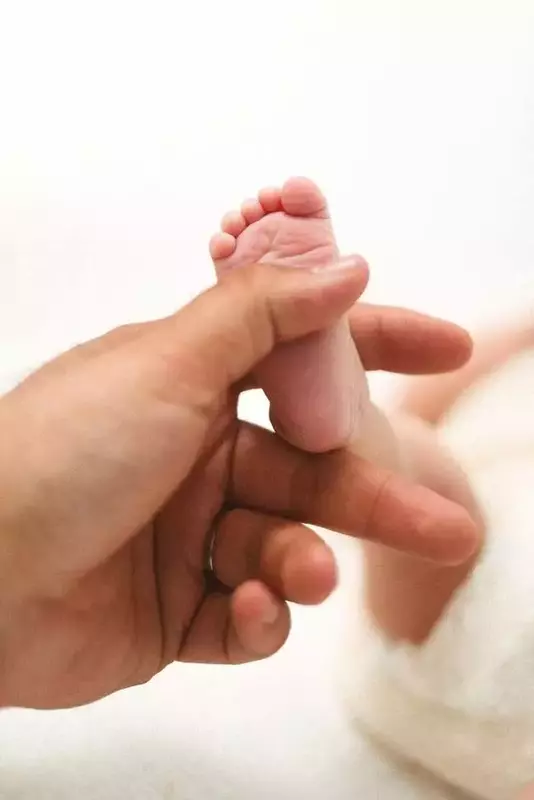 نمونه کار از زهرا سعادت فر