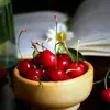 نمونه کار عکاسی تبلیغاتی چیدمان توسط ملاحتی، ثبت شده در 2026-06-22