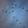 نمونه کار عکاسی مناظر توسط اکرامی استوار، ثبت شده در 2026-07-04