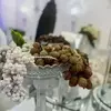 نمونه کار عکاسی عقد - بله برون - فرمالیته عروسی توسط نیکوبنیادراد، ثبت شده در 2026-07-19
