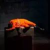 نمونه کار عکاسی همایش و رویداد توسط اکرامی استوار، ثبت شده در 2026-07-24