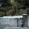 نمونه کار عکاسی بارداری توسط بزم بر، ثبت شده در 2026-07-26