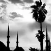 نمونه کار عکاسی مناظر توسط اکرامی استوار، ثبت شده در 2026-07-29