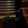 نمونه کار عکاسی همایش و رویداد توسط یگانه، ثبت شده در 2026-08-01