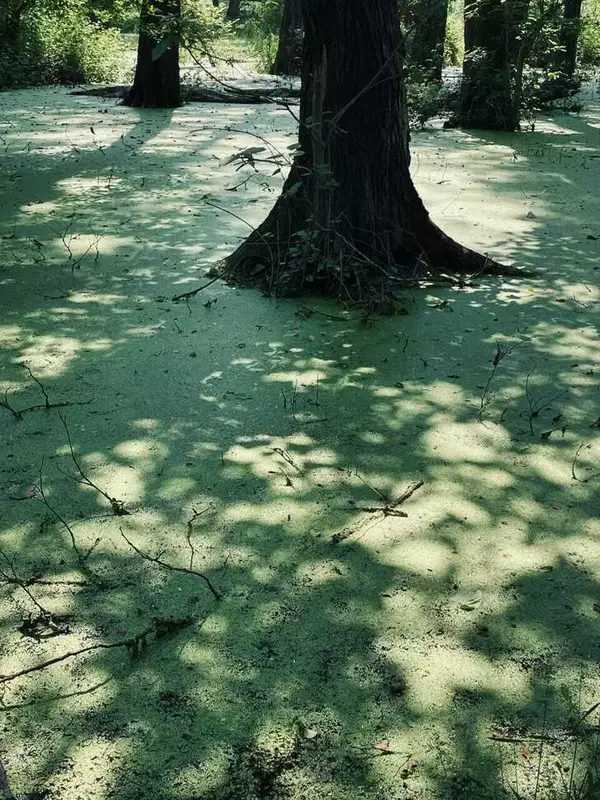عکاسی مناظر از فاطمه توکلی بینا