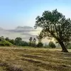 نمونه کار عکاسی مناظر توسط تقوی، ثبت شده در 2026-08-07