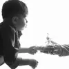 نمونه کار عکاسی تولد - مهمانی - دورهمی توسط جمال زاده، ثبت شده در 2026-08-07