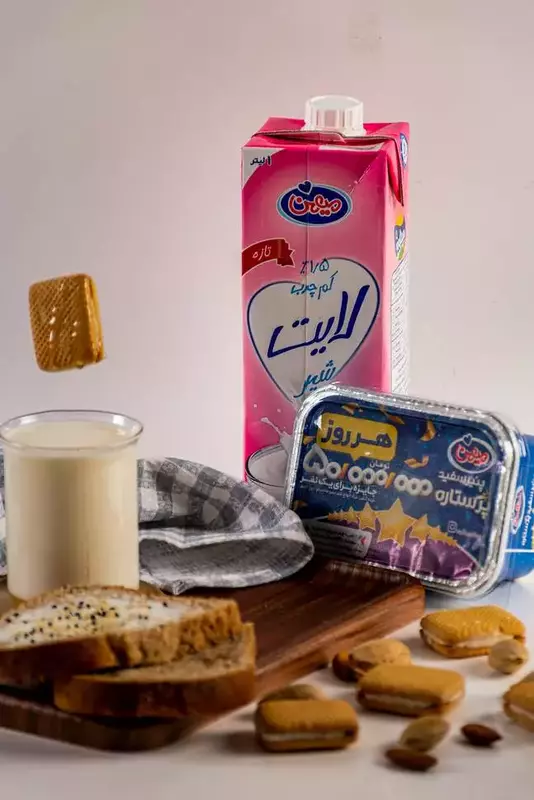 نمونه کار از زهرا امیربیک