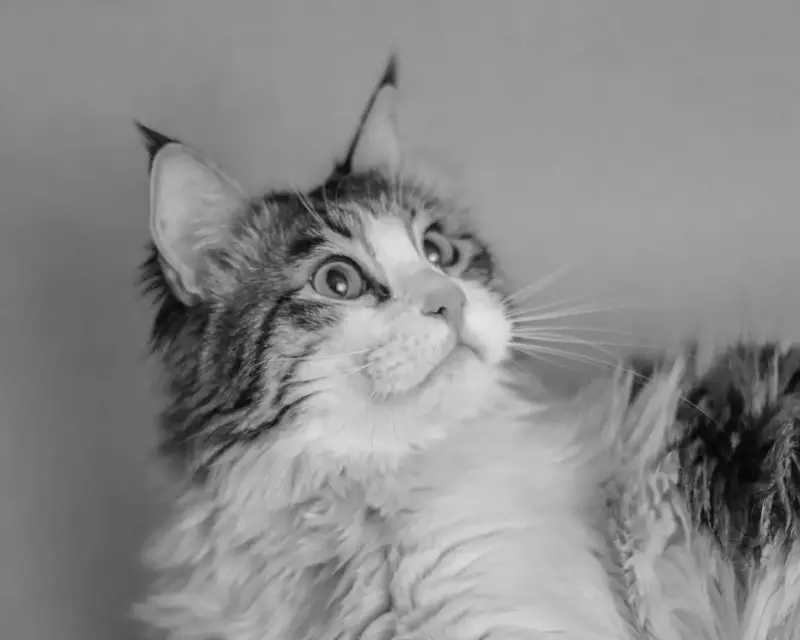 نمونه کار از عرفان نجف‌آبادی‌پور