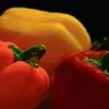 نمونه کار عکاسی تبلیغاتی چیدمان توسط نجف‌آبادی‌پور، ثبت شده در 2026-09-05