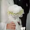 نمونه کار عکاسی عقد - بله برون - فرمالیته عروسی توسط آزادی، ثبت شده در 2026-09-14
