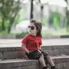 نمونه کار عکاسی کودک توسط زارعی، ثبت شده در 2026-10-04