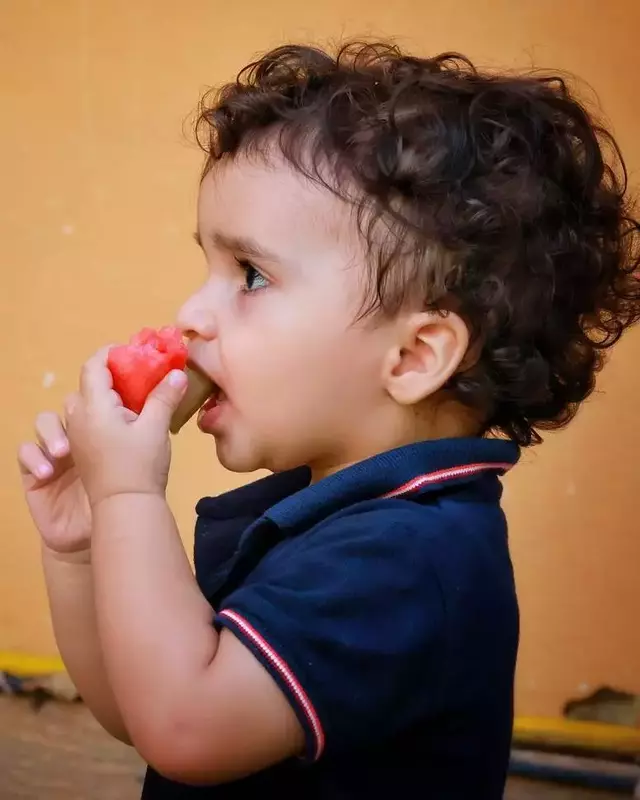 نمونه کار