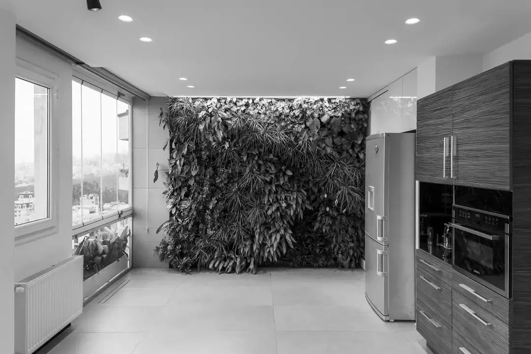 نمونه کار عکاسی سیاوش باقری