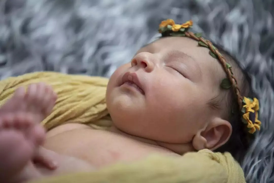 عکاسی نوزاد از ریحانه عسگری