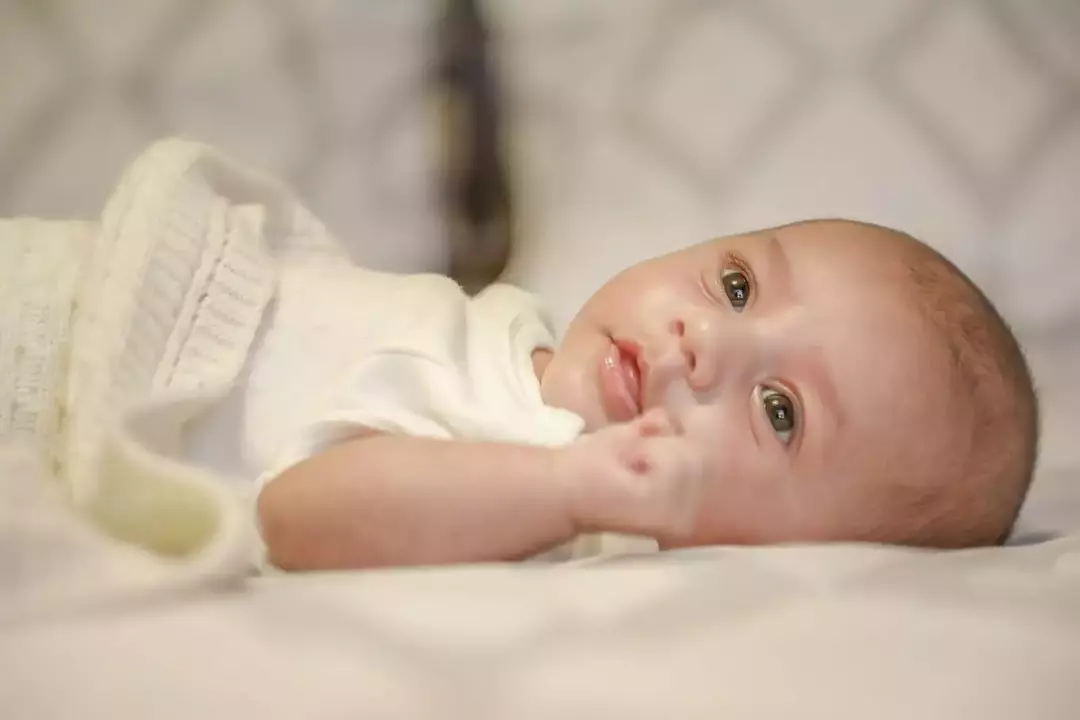 عکاسی نوزاد از ریحانه عسگری