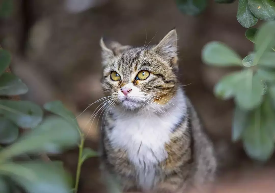 نمونه کار عکاسی ریحانه عسگری