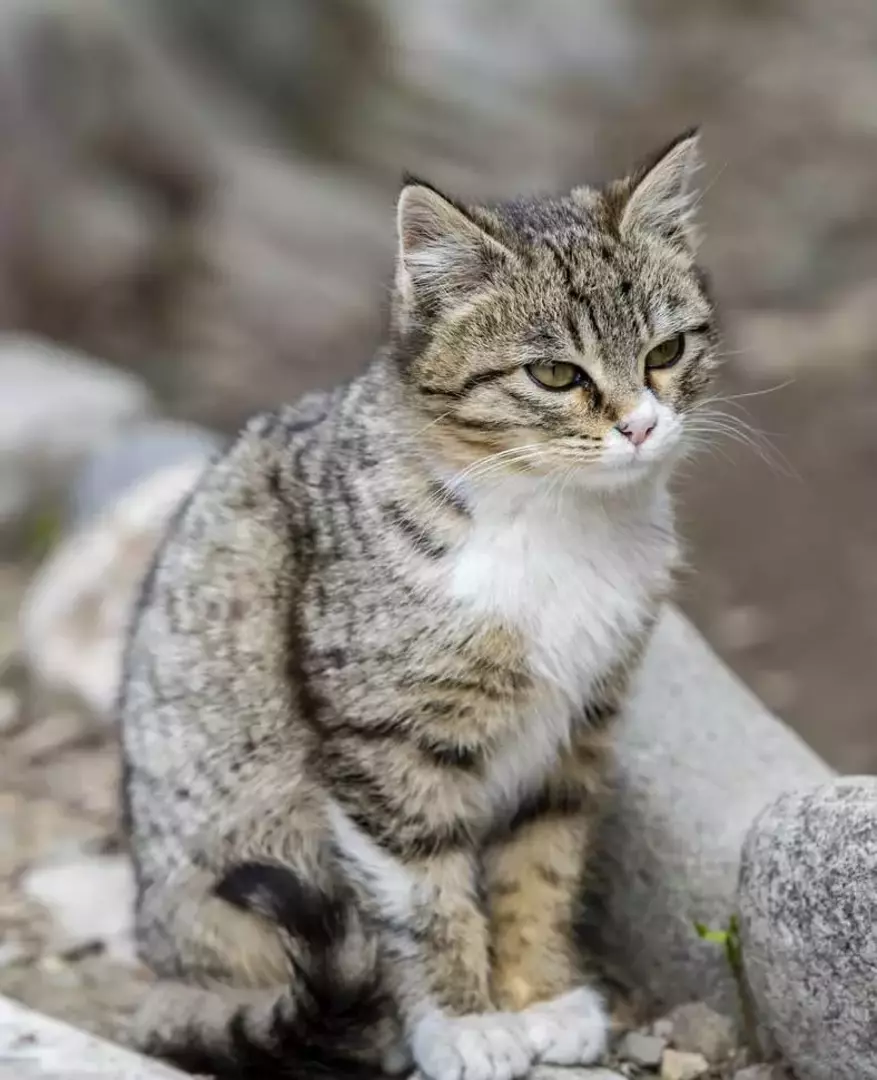 نمونه کار عکاسی ریحانه عسگری