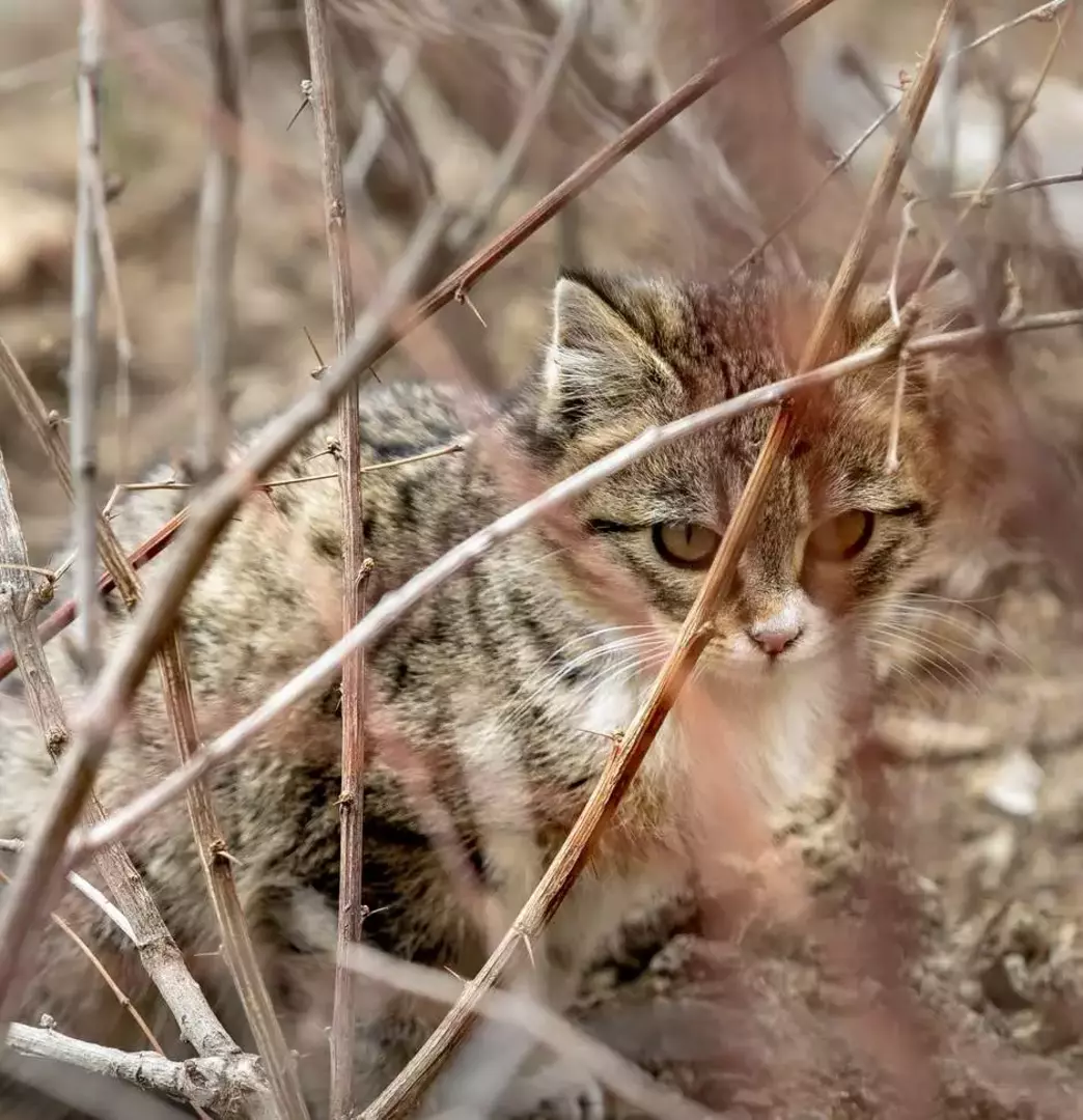 نمونه کار عکاسی ریحانه عسگری