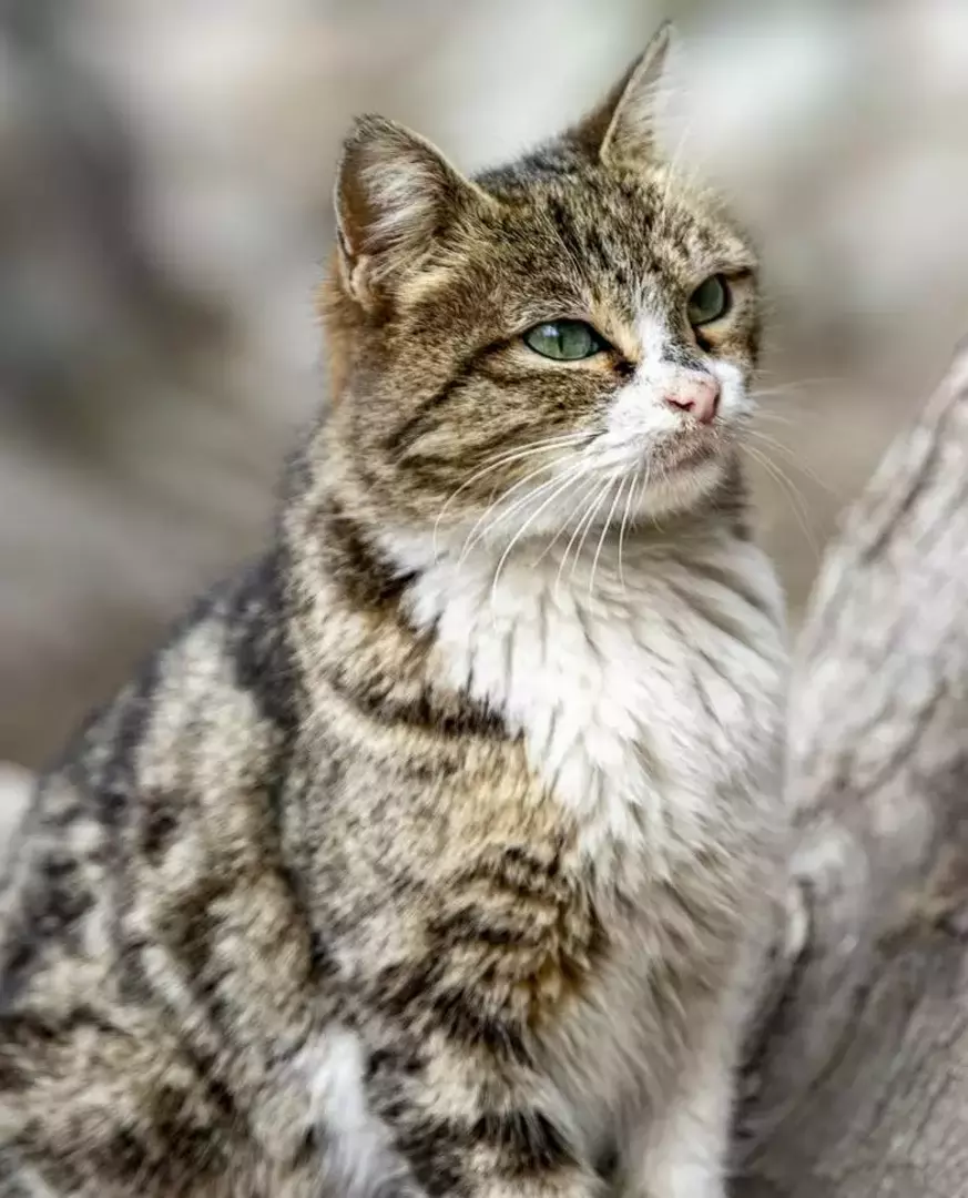 نمونه کار عکاسی ریحانه عسگری