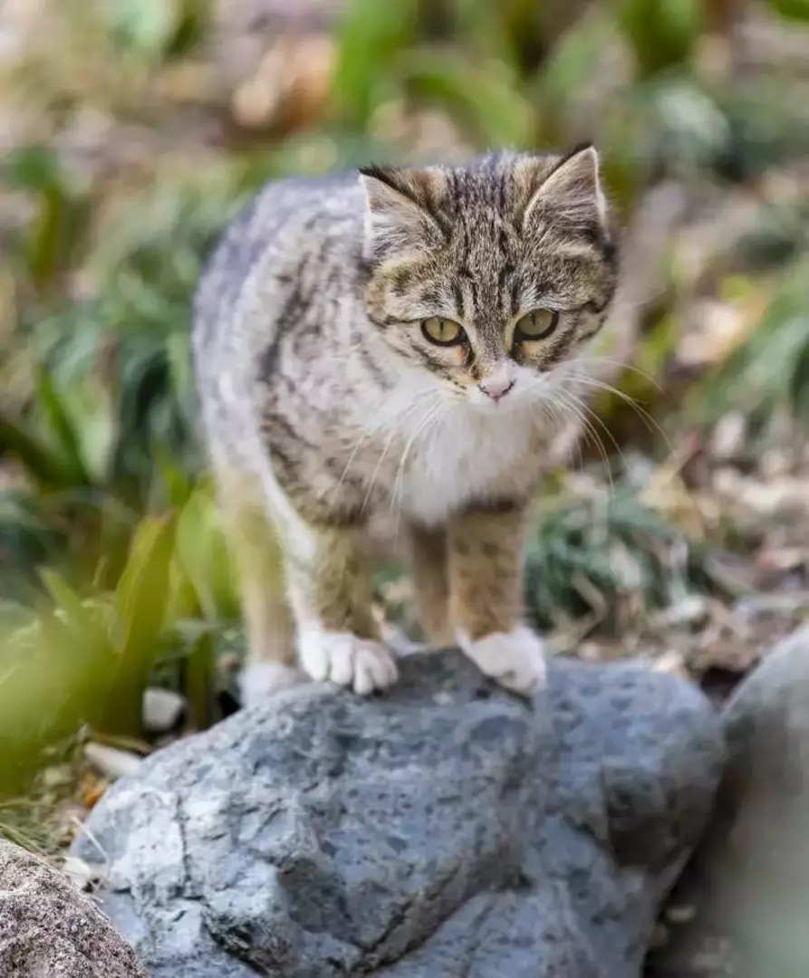 نمونه کار عکاسی ریحانه عسگری