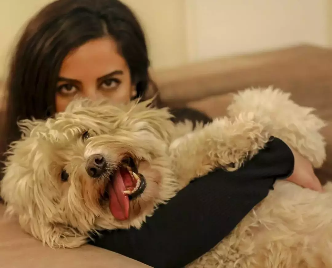 نمونه کار عکاسی ریحانه عسگری