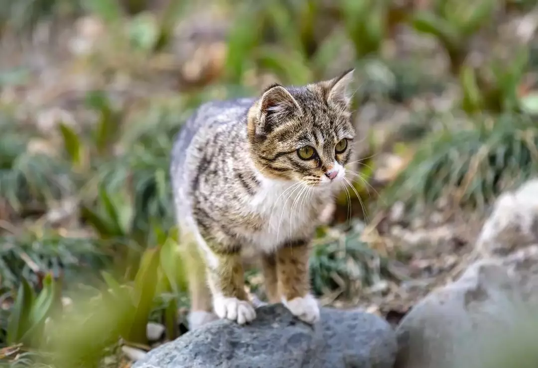 نمونه کار عکاسی ریحانه عسگری