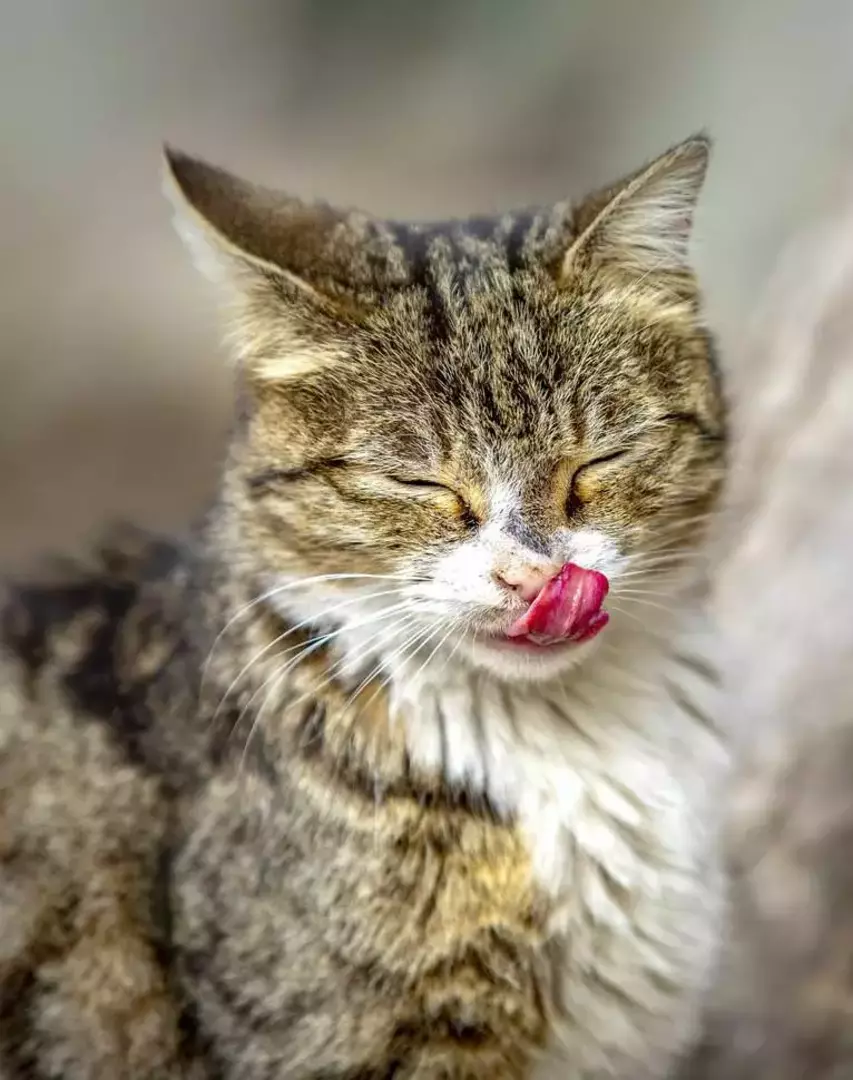 نمونه کار عکاسی ریحانه عسگری