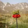 نمونه کار عکاسی مناظر توسط حمیدیا، ثبت شده در 2019-09-18