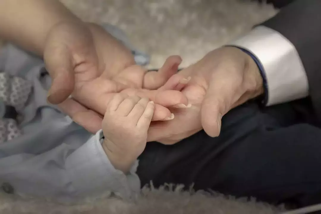 عکاسی تولد - مهمانی - دورهمی از ریحانه عسگری