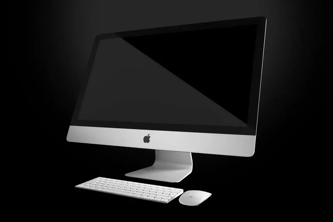 نمونه کار از پویا تاریوردی